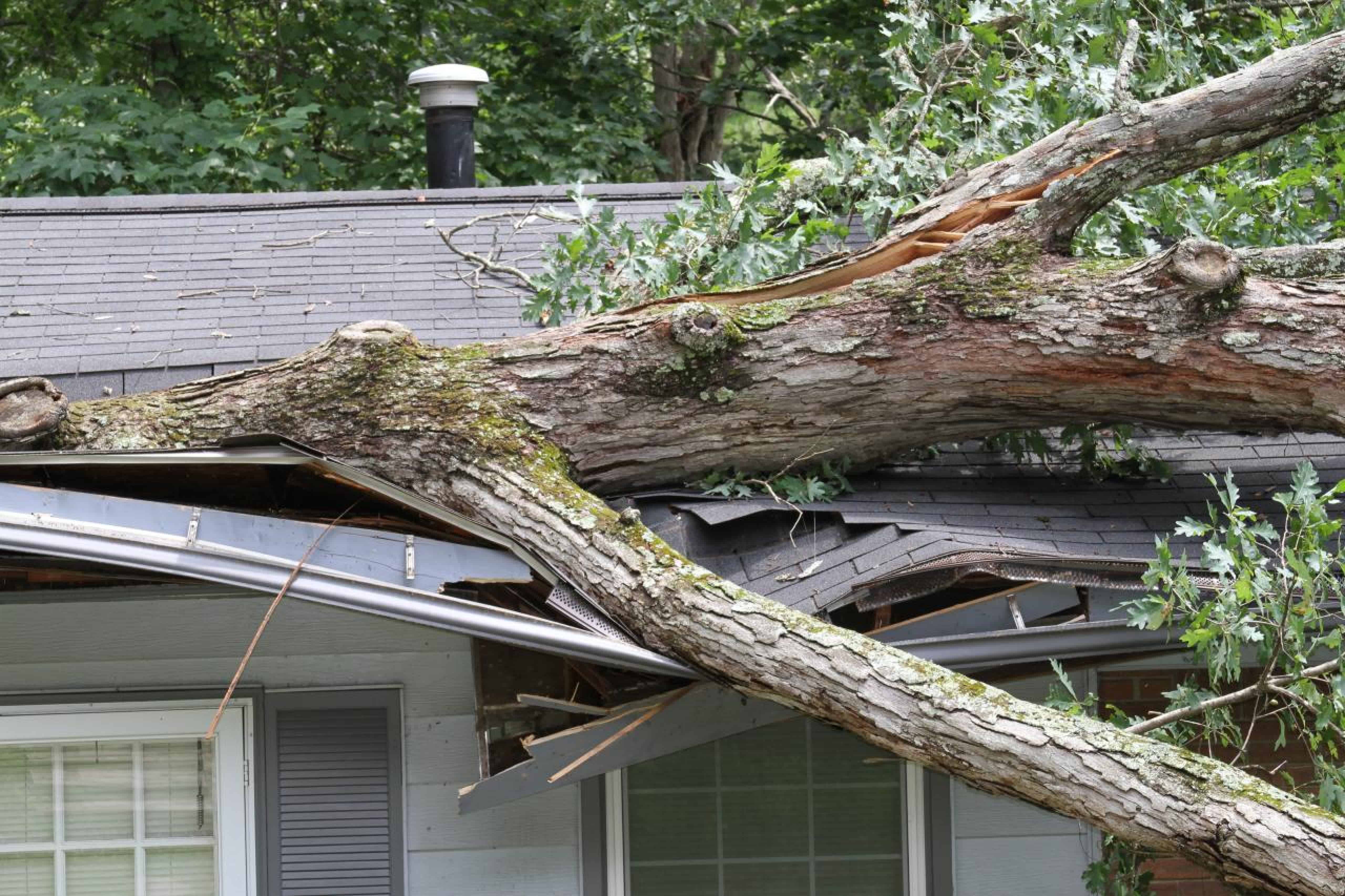 Home Insurance Claim Dispute in Atlanta